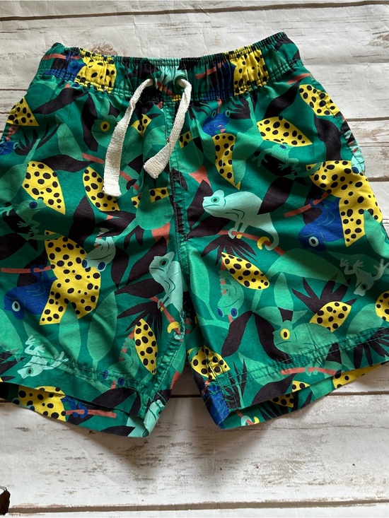 Hanna Andersson Other - Hanna chameleon swim trunks vguc 100